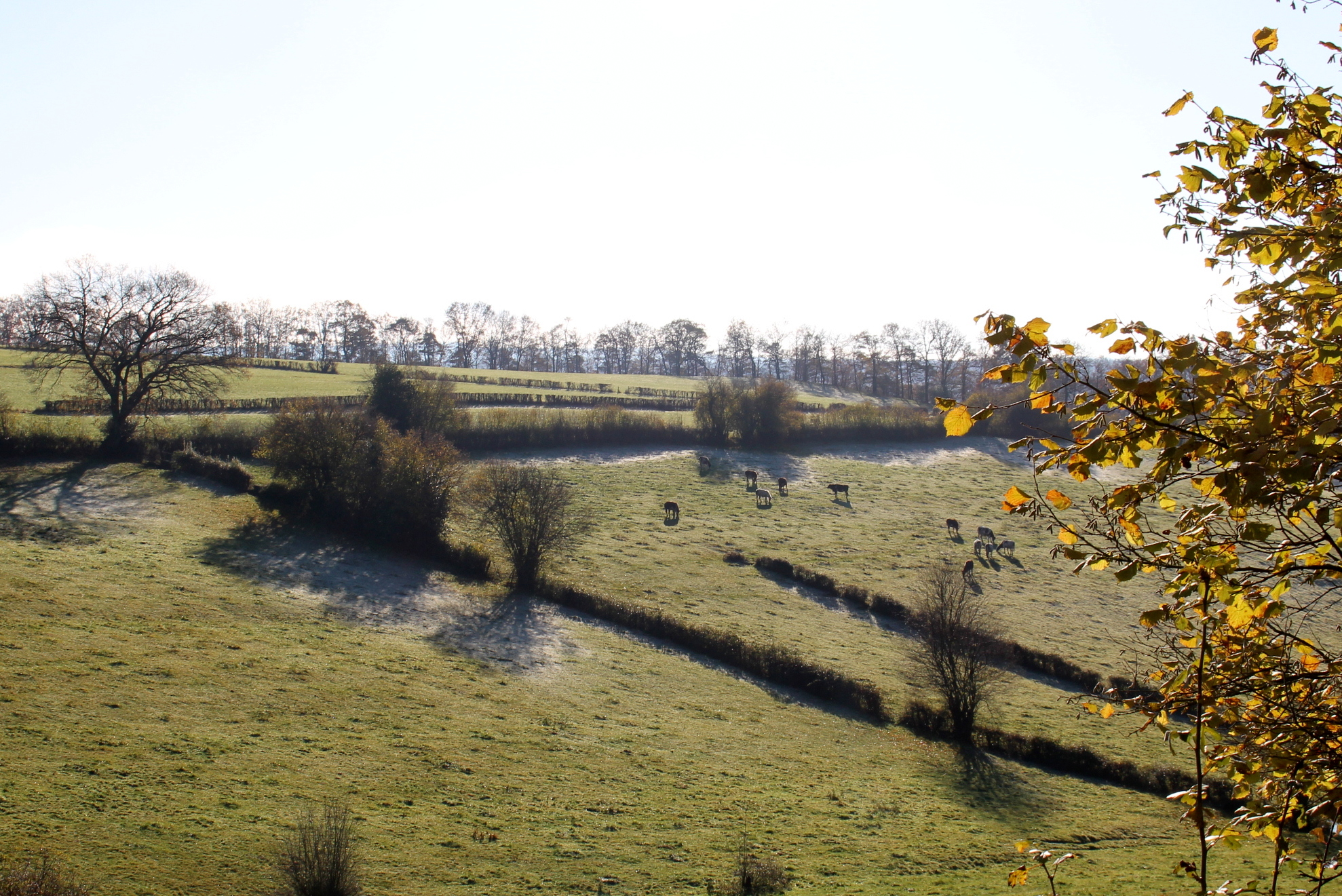 bocage Nivezé