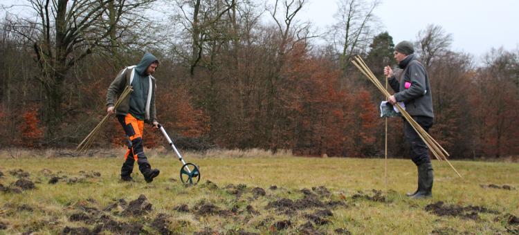 les mesures avant plantation