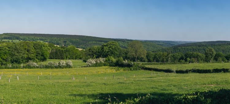 Vallée du Roannay depuis Exbomont