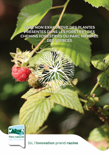 Liste 3.0 non exhaustive des plantes présentes dans les forêts du Parc naturel des Sources