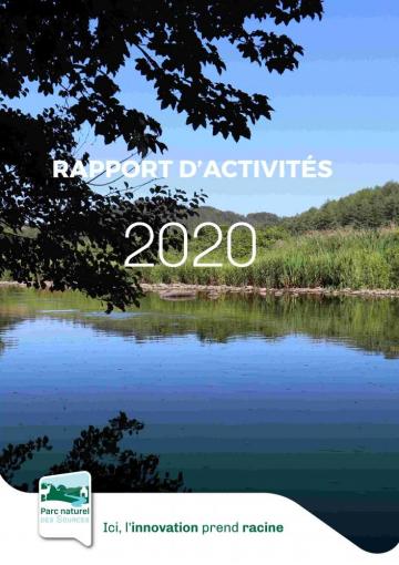 Rapport d'activités 2020 - PDF