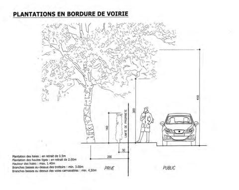 Plantation en bordure de voirie