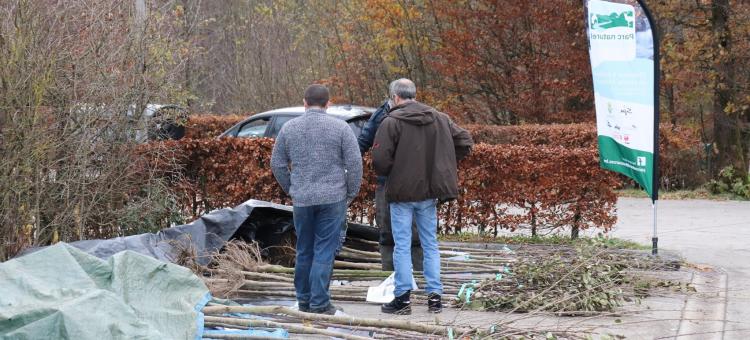 distribution d'arbres fruitiers hautes-tiges