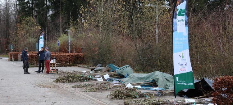 distribution d'arbres fruitiers hautes-tiges