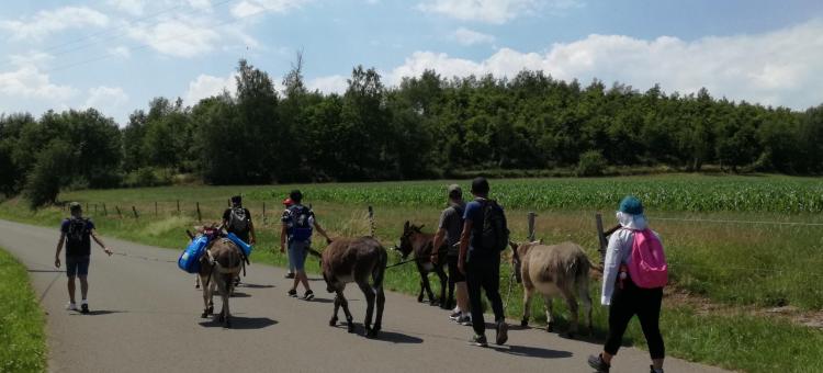 Itinér'Âne au Parc naturel des Sources