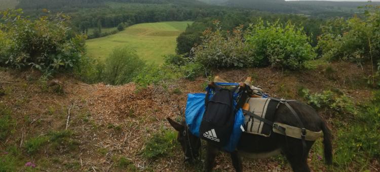 Itinér'Âne au Parc naturel des Sources