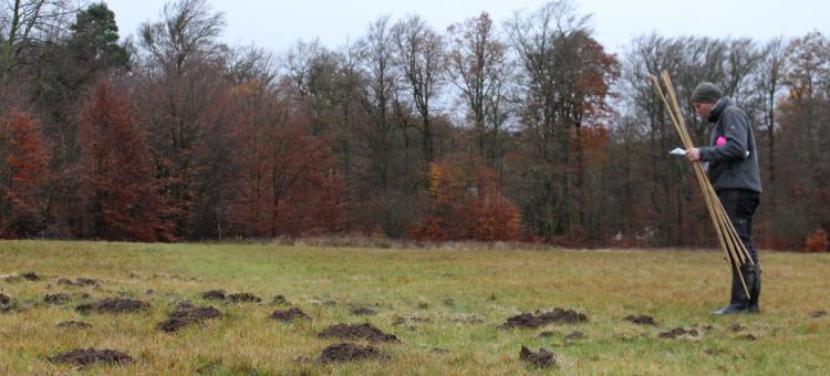 Un plan précis des plantations à faire