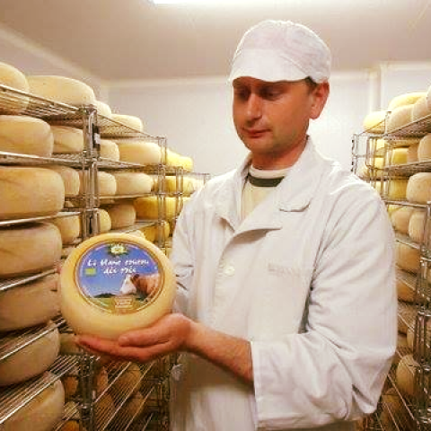 fromager Counasse